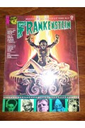 Castle of Frankenstein 17  FN-